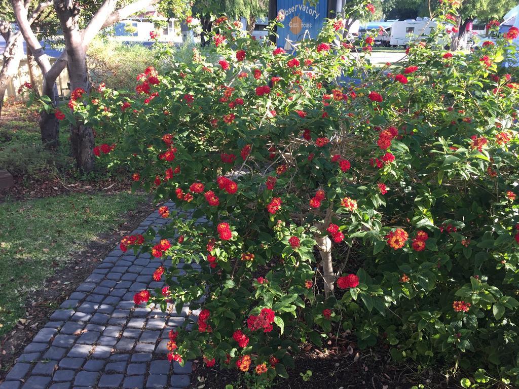 Observatory Guesthouse - Adults Only Busselton Εξωτερικό φωτογραφία
